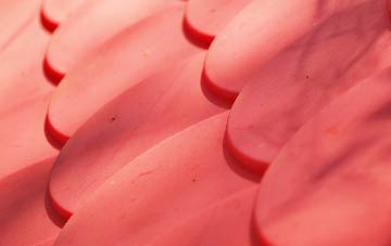 Ensbury plastic roof costs